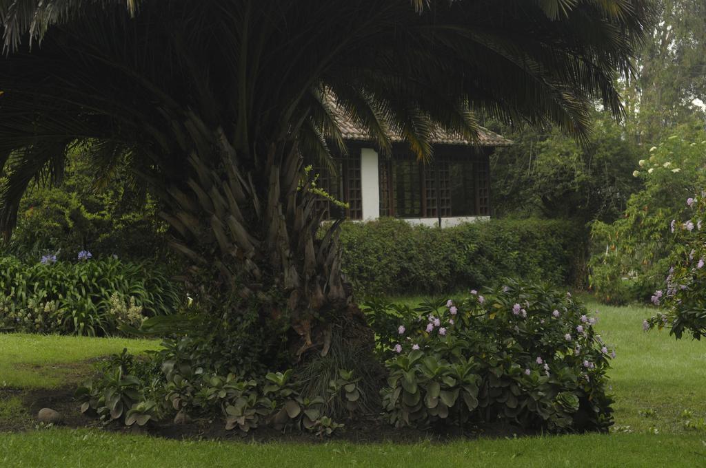Molino San Juan Bed & Breakfast Cayambe Exterior photo
