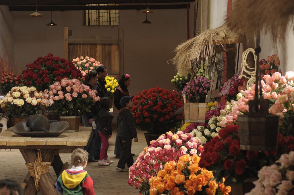 Molino San Juan Bed & Breakfast Cayambe Exterior photo